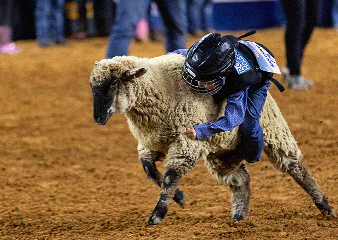 Win a Cody Johnson Flyaway Experience to the Houston Rodeo - Image 6