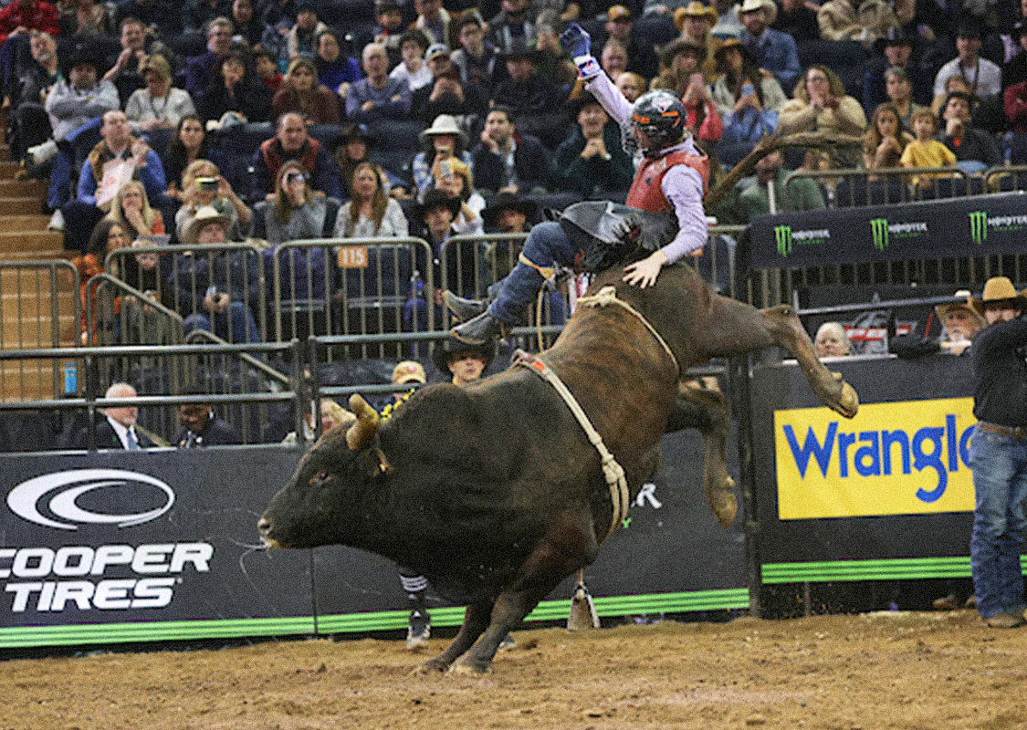 Win a Trip to PBR in NYC - Image 4